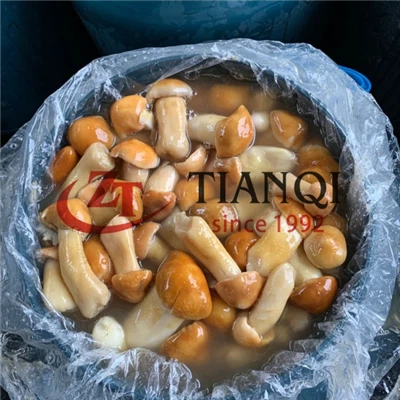 Stropharia gomba sós lében